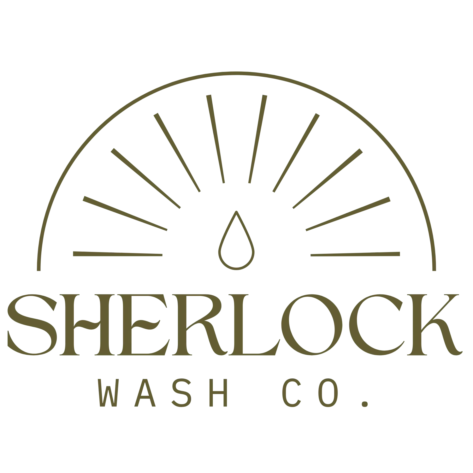 Sherlock Wash Co. official logo Sherlock Wash Co.